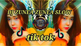 Download DJ zunea zunea slow remix terbaru 2021 (DJ cantik Remix) MP3