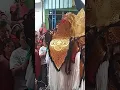 Download Lagu Barong Bali Sekar Budoyo
