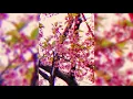 Download Lagu Ｎｅｗ　Ｏｒｄｅｒ　－　Ｔｒｕｅ　Ｆａｉｔｈ　＇９４　（Ｖａｐｏｒｗａｖｅ）
