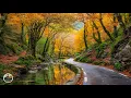 Download Lagu Что такое осень! ВОССТАНОВЛЕНИЕ НЕРВНОЙ СИСТЕМЫ! Три месяца я слушала только эту музыку – Осень