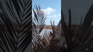 بردي الخزان ابو قميح صيد برادي صوت نغاق صوت ابو قميح 