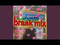 Erika Uit Langenboom (Uptempo Braak Mix)