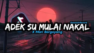 Download DJ Adek Su Mulai Nakal x Mari Bergoyang - Slowed+Reverb 🎧 MP3