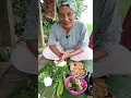 Download Lagu MAKAN NIKMAT DI SAUNG SAWAH IBU HAJI DAGING REBUS TERONG SAMBAL KENCUR