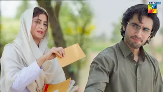 yeh hein mujh se shadi ki sharayat sajalali hamzasohail zard patton ka bunn hum tv