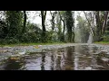 Binaural Beats | Alpha Waves | 12 Hz. | Gentle Forest Rain |