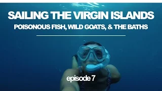 Sailing the BVI’s: Poisonous Fish, Wild Goats, and the Famous ‘Baths’ (Sailing Ruby Rose) Ep 7