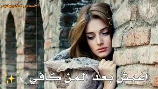 شلون ارتاح وانساهم نغمة رنين ستوري حزين احمد الساعدي 