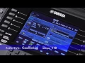 Download Lagu PSR-S950 Audio Style