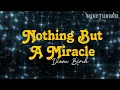 NOTHING BUT A MIRACLE [ DIANE BIRCH ] INSTRUMENTAL | MINUS ONE
