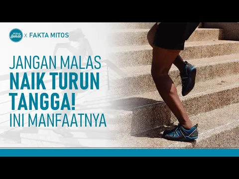 Naik Turun Tangga Setiap Hari? Ini Manfaatnya