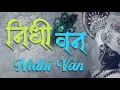 Download Lagu इक तमना है जीवन की निधि वन रात बिताऊ / Kishana bhajan/ek tamanna hai jeevan ki nidhivan | full video