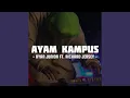 Download Lagu AYAM KAMPUS