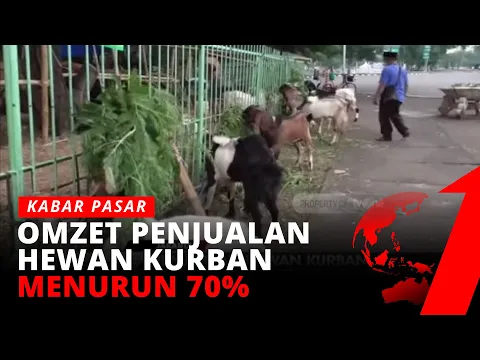 Pedagang Hewan Kurban Keluhkan Sepinya Pembeli, Omzet Penjualan Anjlok Hingga 70 Persen