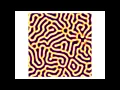 Reaction-Diffusion Model Gray-Scott