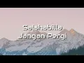 Download Lagu Salshabilla - Jangan Pergi (Lyrics)