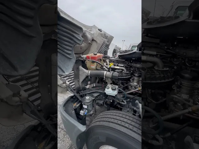 View Video