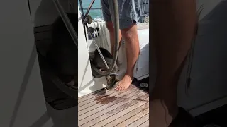 Day 51 living on a sailboat ⛵️ Conquering Naples Bay #sailboatlife #dayinthelife