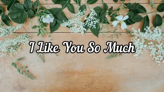 Download I Like You So Much MP3