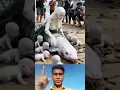 Download Lagu Allah ka 🌙🇯🇴🕋💔👍☝#muhammadﷺ #duet #allah 🥰❤🥀👍☝#youtubeshorts #islamicpost