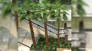 قصيدة ليس الغريب غريب الشام واليمن  المنشد  عبد الكريم مهيوب  لاتنسوا الاشتراك في القناة وتفعيل الج دندنها