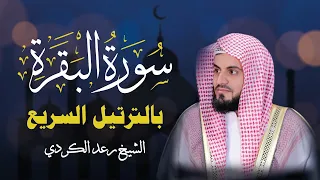 سورة البقرة كاملة بالترتيل السريع بصوت ي ذهل القلوب القارئ رعد الكردي 