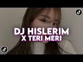 Download Lagu DJ HISLERIM X TERI MERI VERSI SLOWED _ REVERB__ FYP TIKTOK 2025