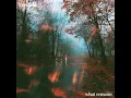 what remains - Everfield