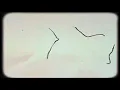 Vargstuhr: Refied Nature (Official lyric video) 2021