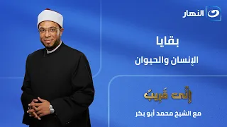 بقايا الإنسان والحيوان    إني قريب   الجمعة    ابريل      دندنها