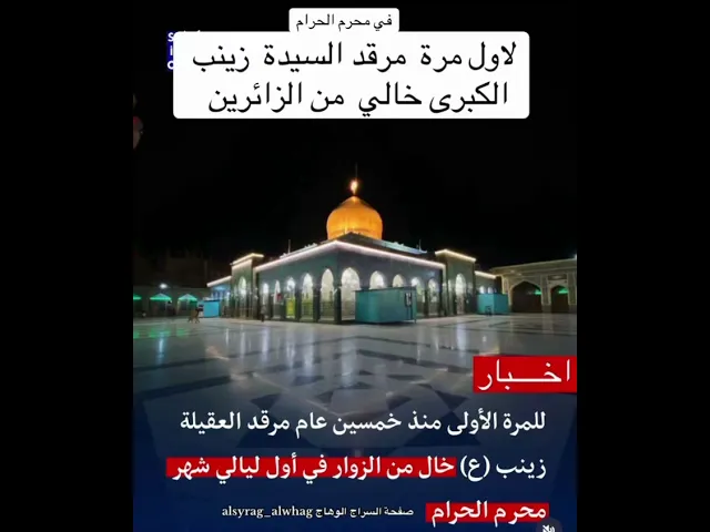 ورجعت زينب العقيلة  غريبة في الشام