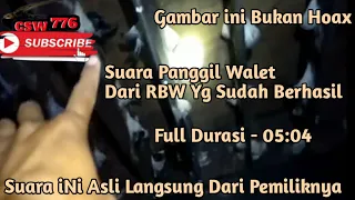 Download SUARA PANGGIL WALET ASLI DARI RBW YG SUDAH BERHASIL MP3