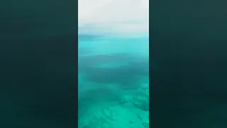 Exploring Western Sambo Reef off Key West | Harbors Unknown #shorts