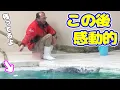 Download Lagu ラッコおじの言葉を完璧に理解するキラ❤️深い信頼関係に感動😍