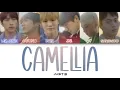 Lagu JUST B (저스트비) - 얼어있는 길거리에 잠시라도 따듯한 햇빛이 내리길 (Camellia) Color Coded Lyrics (han/rom/eng)