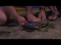 BCF All 4 Adventure Camping Hacks - Crab tie