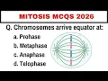General Knowledge Questions and Answers On Mitosis and Meiosis