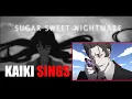 Download Lagu Kaiki Sings \