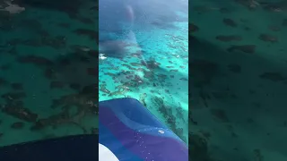 Flying around the Bahamas😍🇧🇸