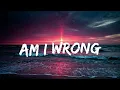 Nico and Vinz - Am I wrong (lyrics)