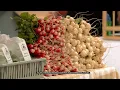 Tulsa Farmers Market Hosting Harvest Festival At Knight Pecan Farms