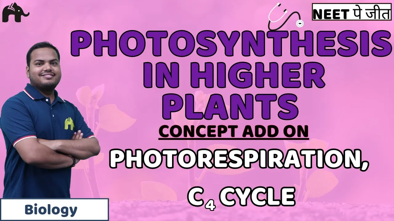 Photosynthesis in Higher Plants Class 11 NEET - Photorespiration, C4 Cycle | Biology