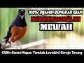 Lagu MASTERAN MURAI BATU PAGI HARI FULL TEMBAKAN ISIAN KENARI KAPAS TEMBAK CILILIN GEREJA TARUNG