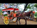 Download Lagu NAIK KUDA - KUDA DELMAN - NAIK DELMAN ISTIMEWA - KALAU KAU SUKA HATI - DI SINI SENANG DI SANA SENANG