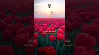 سورة البقرة الآية 55 و 56 كتابك قرأنك 