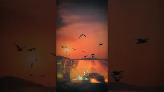 ليه الدنياليه تتغير حال الناس ناس مننا بعدوا عنناسبونا لوحدنا على حالنا نبكي حوده بندق تيتو بندق  ليه الدنياليه تتغير حال الناس ناس مننا بعدوا عنناسبونا لوحدنا على حالنا نبكي حوده بندق تيتو بندق