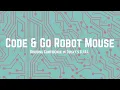 Code Go Mouse