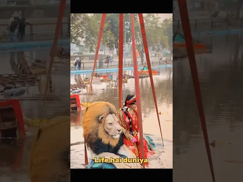 Maa ki vidai #trending #shortvideo#viralmaa