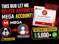 This Bug Let Me Delete Anyone s Mega Account Big Bounty