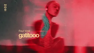 Raul Vidal - Gatitooo (MIDH 125)